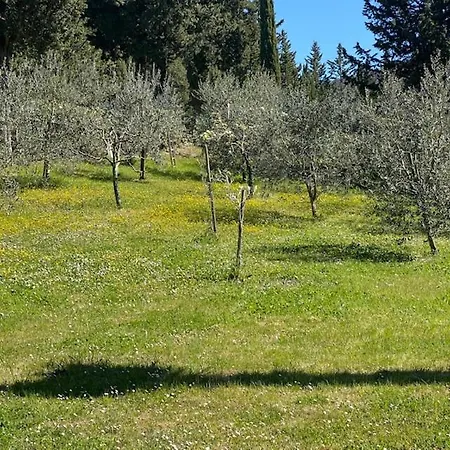 La Magnolia فندق مبيت وإفطار