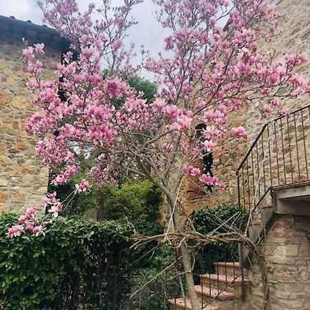 La Magnolia