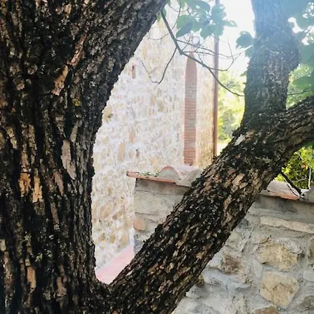 La Magnolia 4* Greve in Chianti