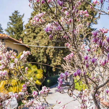 ベッド・アンド・ブレックファスト La Magnolia 4*