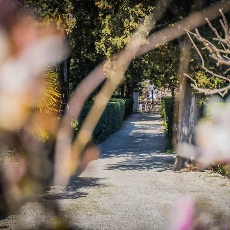 La Magnolia