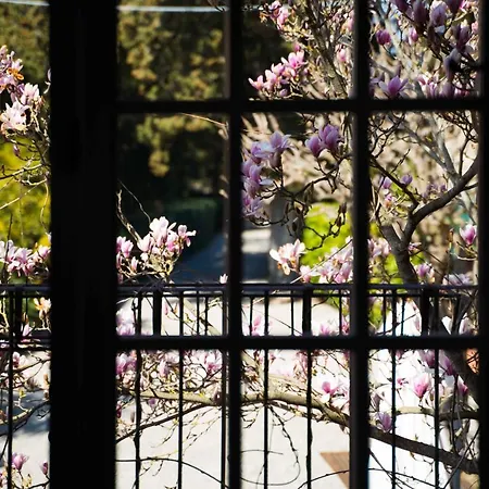 La Magnolia Greve in Chianti