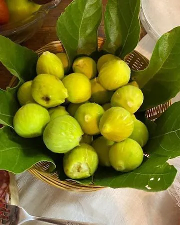 La Magnolia Bed & Breakfast Greve in Chianti