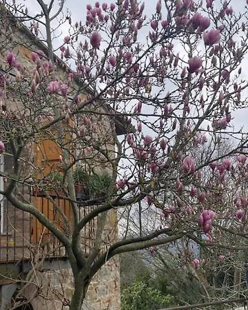 La Magnolia * Greve in Chianti