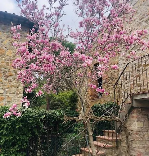 La Magnolia