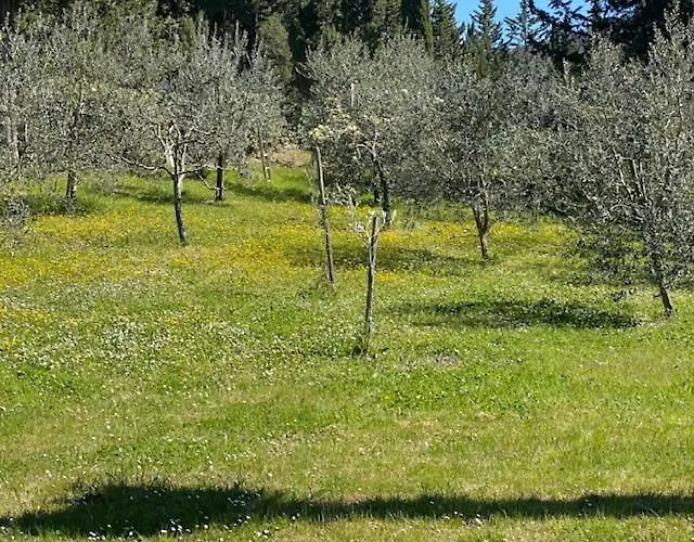 La Magnolia ベッド・アンド・ブレックファスト