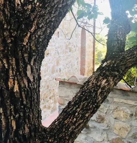 La Magnolia 4* グレーヴェ・イン・キアンティ