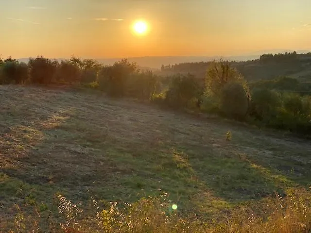 ベッド・アンド・ブレックファスト La Magnolia 4*