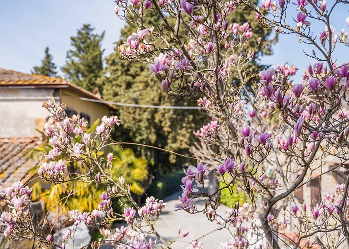 ベッド・アンド・ブレックファスト La Magnolia 4*